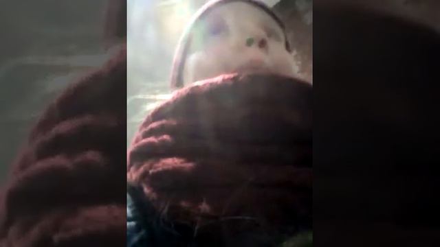 VLOG сейчас делают каток, и как я в "ZARA". смотреть онлайн