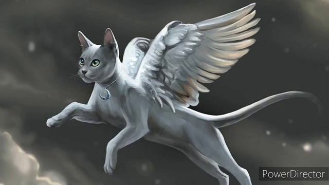 Ales Cattus 13 Explained смотреть онлайн