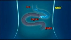 Реклама Аципол- "Кучу пилюль прописали в больнице"