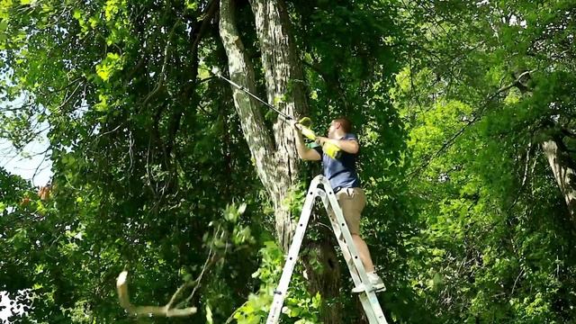 Review of the Ryobi Expand-It 10 in. Universal Pole Saw Attachment смотреть онлайн