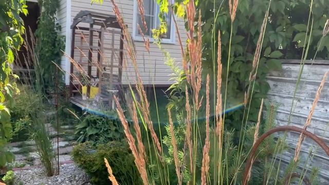 Убрала всю клубнику. Высадила растения. Каркас скамьи в перголе смотреть онлайн