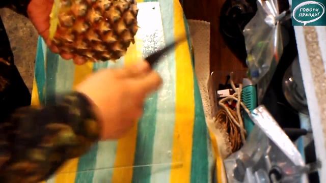 Лёха & консервация кленового сока с ананасом и веточкой чёрной смородины смотреть онлайн