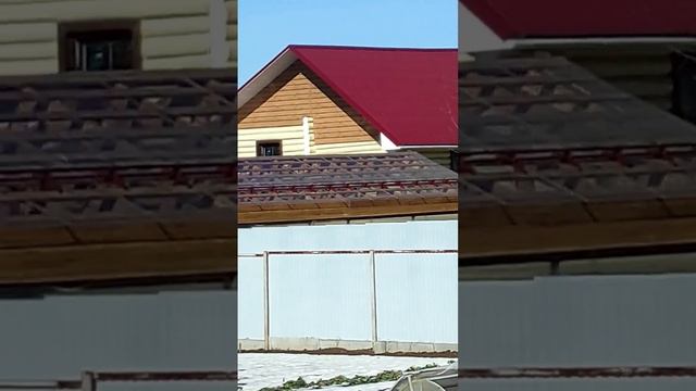 прозрачный профнастил смотреть онлайн