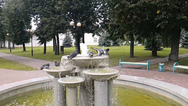Slowmotion (timelapse, hyperlapse). Pigeons bathe in the fountain/ Голуби купаются в фонтане смотреть онлайн