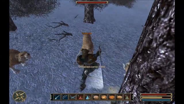 Gothic 3 Walkthrough - part 189 смотреть онлайн