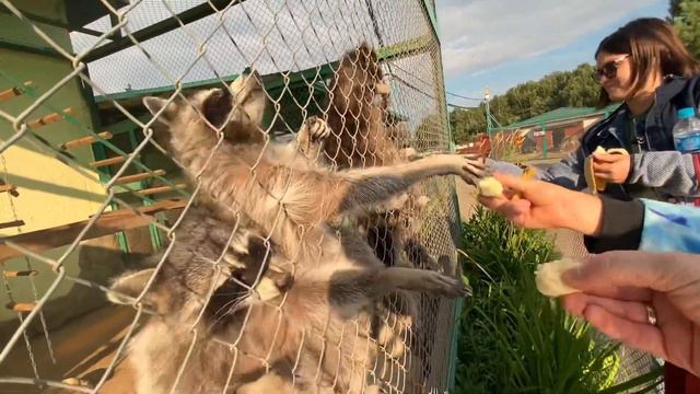 Экзотик парк смотреть онлайн