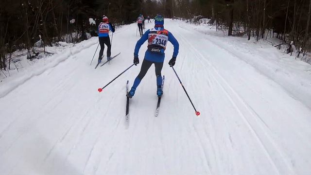 Дёминский лыжный марафон 50 км 2024 любитель
