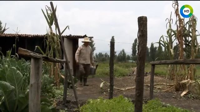 Бытовой КАННИБАЛИЗМ Ацтеков смотреть онлайн