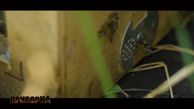 Короткие похороны. смотреть онлайн