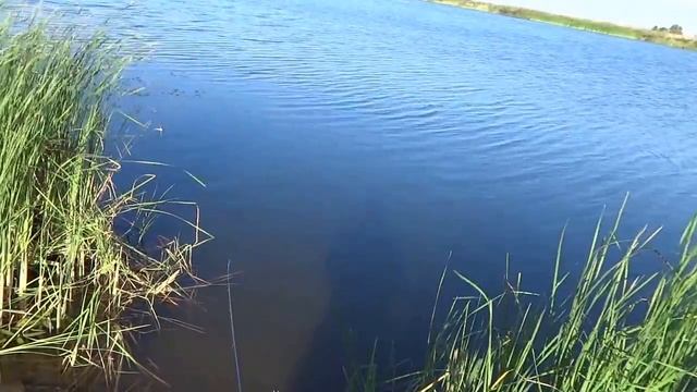 Проба фотоаппарата SONY вместо GoPro Hero :-) смотреть онлайн