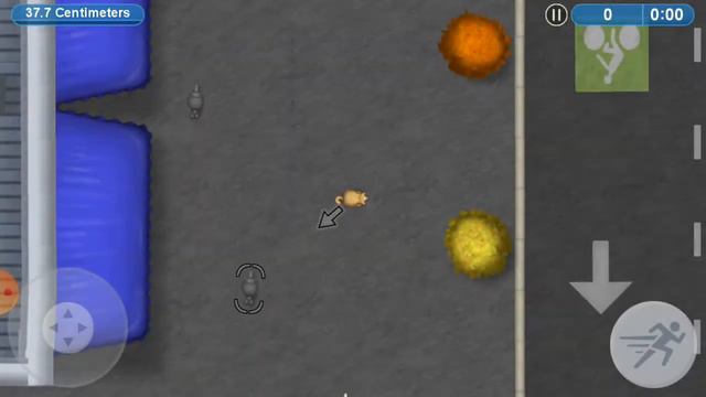 а панда любит бамбук белка любит фундук ёжик любит есть гадюк только ты жрёшь всё вокруг смотреть онлайн