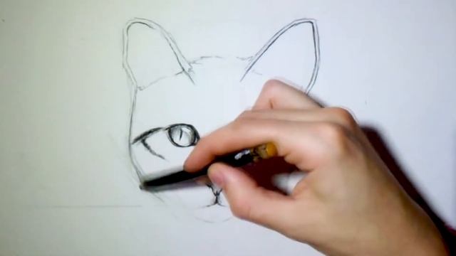 Як намалювати кота | How to draw a cat смотреть онлайн