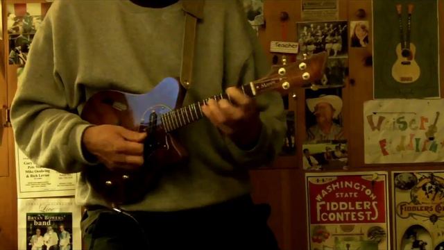 Jazz Mandolin - Surrey With The Fringe On Top Played by Pete Martin смотреть онлайн