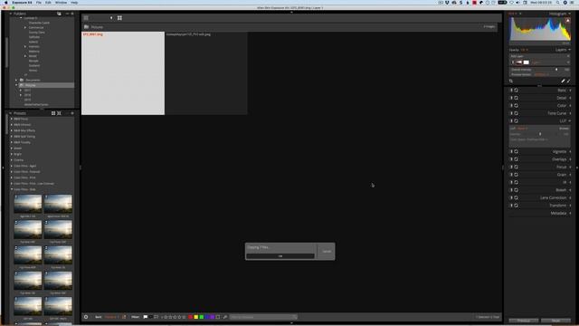 Alien Skin Exposure X4.5 New Features смотреть онлайн
