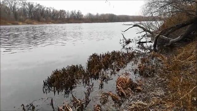 Рыбалка на Дону , Новогремячье, боковой кивок, съёмка 25.11.2021 смотреть онлайн