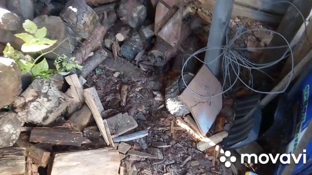 Последняя косьба 2021 года. Карвер Промо, Нано Пила и Чемпион 240 смотреть онлайн