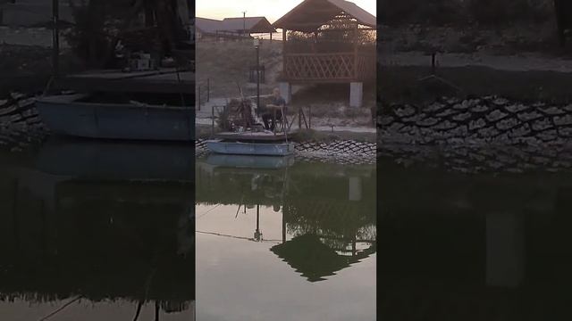 Стихотворение Эдуарда Асадова Как много тех ,с кем можно лечь в постель... смотреть онлайн