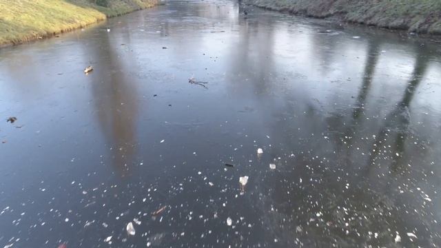 Poor "bird"?! Frozen River Phantom 4 Pro 4K смотреть онлайн