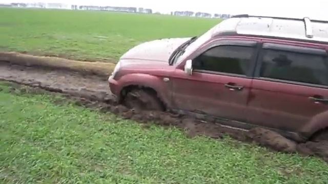 XZ LANDMARK смотреть онлайн