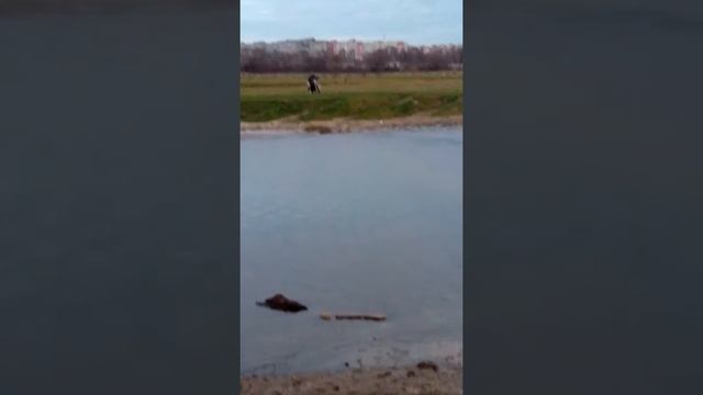 VID 20131101 1756261 смотреть онлайн