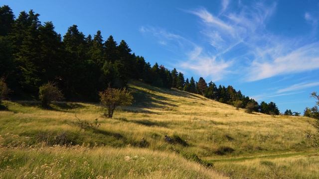 Индейская флейта и языковой барабан — музыка для внутреннего покоя, исцеления души и любви к себе смотреть онлайн