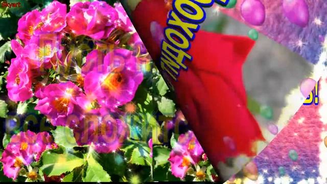 Поздравление с 34-летием! Новинка! Прекрасное Видео Поздравление! СУПЕР ПОЗДРАВЛЕНИЕ! смотреть онлайн