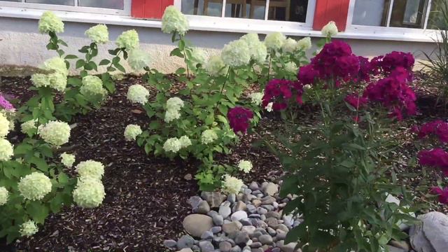 ГДЕ МОИ СЕМНАДЦАТЬ ЛЕТ//НА СТАРОЙ МЕЛЬНИЦЕ//ДЕНЬ РОЖДЕНИЯ В ГЕРМАНИИ смотреть онлайн