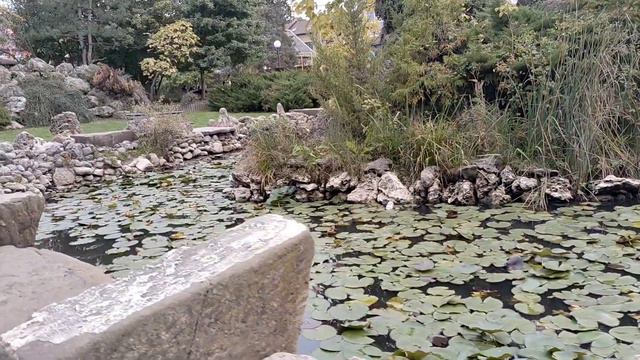 Прогулка г. Горячий Ключ / цыплятам 4 месяца взвешивание Китайских Шелковых Аборигенов смотреть онлайн