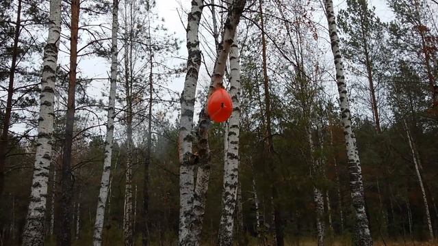Ballon+petard смотреть онлайн