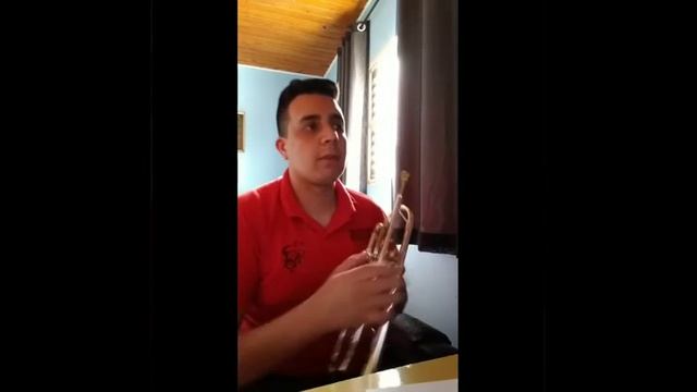 VÍDEO 80. AULA 23/09/2020 MONITOR DE METAIS AGUDOS PROFESSOR GUILHERME CARUSO смотреть онлайн