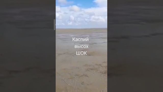 КАСПИЙ ВЫСОХ смотреть онлайн