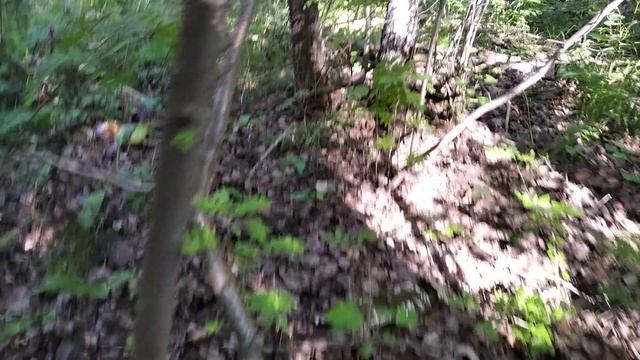 Тихая охота  2.mp4