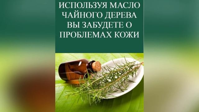 КАК ИЗБАВИТЬСЯ ОТ ПРЫЩЕЙ ЗА 1 НОЧЬ? смотреть онлайн