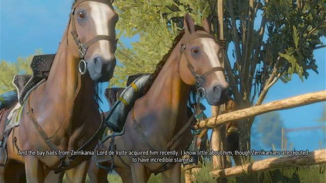 [EN/MY] The Witcher 3: Wild Hunt (Complete Edition // Nintendo Switch) Part 4