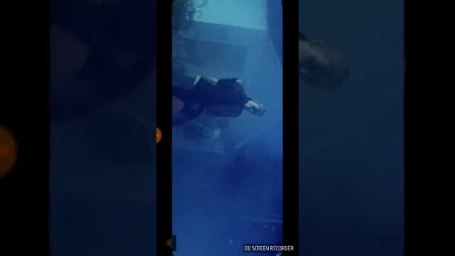 ChainSaw бензопила клип смотреть онлайн
