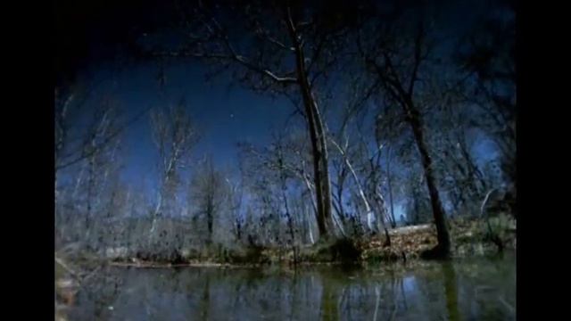 Rachmaninoff: Piano Concerto No 5