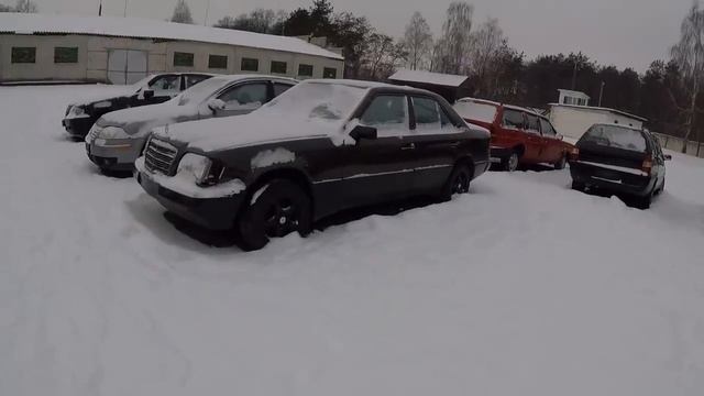 РАСПРОДАЖА конфискованных АВТО в БРЕСТЕ. 10.01.19г. "ОЖИВЛЕНИЕ" МЕРТВЕЦА. НУ И "ДУБАК"... смотреть онлайн