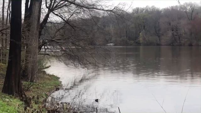 Нью Йорк , Центральный парк . New York , Central Park смотреть онлайн