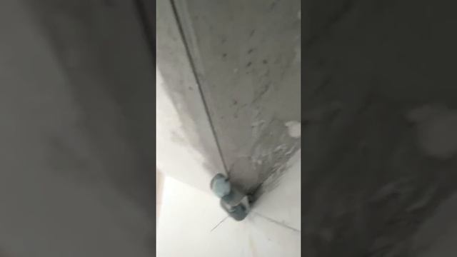 Вытягиваем угол гипсокартона  60° струнными маяками