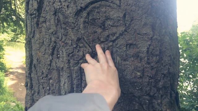 ТАЙНЫ СЕРИАЛА "ЗАКРЫТАЯ ШКОЛА" ? ВСЁ ПОСТАНОВА? смотреть онлайн