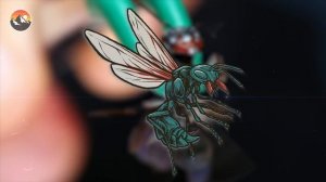 Top 13 Most Painful Insect Stings Coyote Peterson Has Ever Taken!