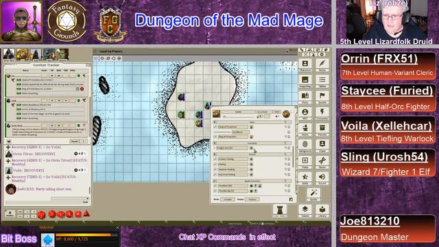D&D 5E Waterdeep: Dungeon of the Mad Mage - Episode 25 смотреть онлайн