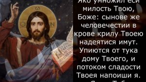 ОСТАНОВИТЬ ВРАГА. Если враг соделал или задумал злое. Короткая молитва от вражеского вреда.