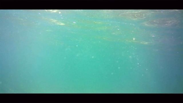 Chasing FISHES On The SEA - Nikon S9900 Coolpix - Cinematic Video смотреть онлайн