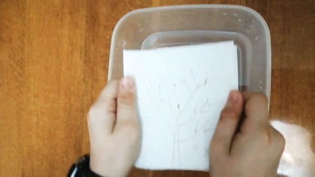 Фокус. Фокус с водой. Бумажные салфетки. смотреть онлайн