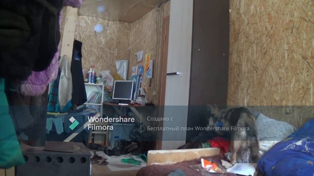 тайная жизнь домашних животных 3 2 часть