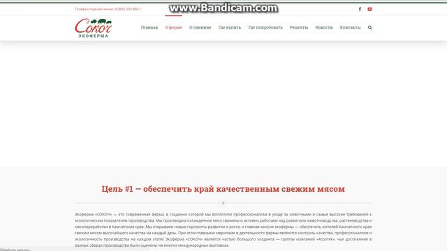 Экоферма «СОКОЧ» смотреть онлайн