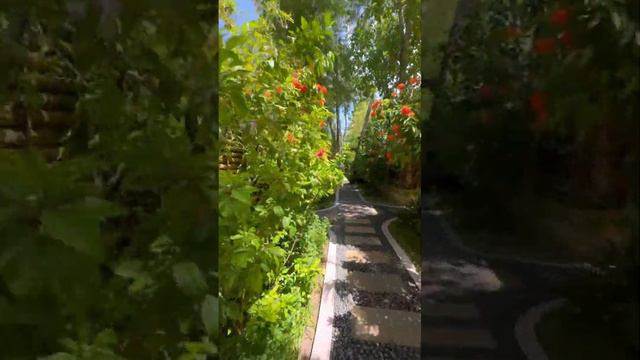 Мальдивы. День 6 - 12.06.2023. Мальдивский спа. Снорклинг на Мальдивах. Чем кормят на Мальдивах