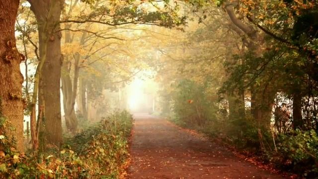 Кем бы я стал смотреть онлайн