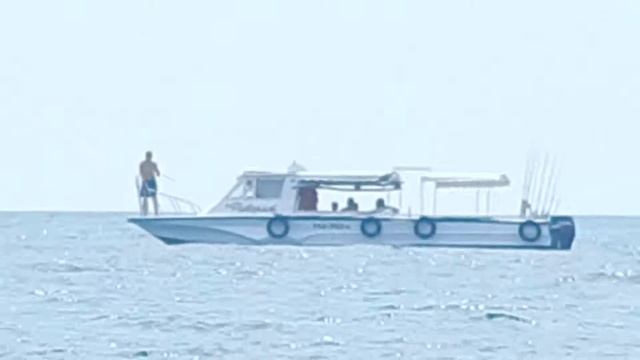 Nikon L820 (зум на море) смотреть онлайн